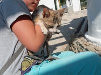 RAW 2015-07-15 10 04 DxO : Rodos, Thermes Kalithèa