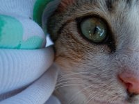 RAW 2015-07-15 10 05 01 DxO : Rodos, Thermes Kalithèa