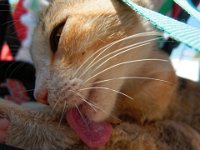 RAW 2015-07-15 10 05 DxO : Rodos, Thermes Kalithèa