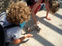 RAW 2015-07-15 10 06 : Rodos, Thermes Kalithèa