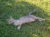 RAW 2015-07-17 08 20 : Afantou, Elefteria Apartments