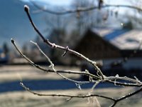 DSC 0110 161229 114113 DxO