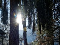 DSC 0111 161229 114246 DxO