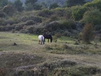 RAW 2016-10-30 17 02 01