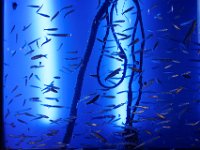 RAW 2016-10-31 12 12 DXO