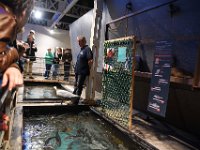 RAW 2016-10-31 12 21