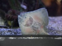 RAW 2016-10-31 13 13