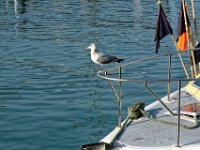 RAW 2016-11-01 12 07 01 DXO