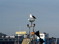 RAW 2016-11-01 12 08 DXO