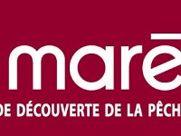 mareis logo
