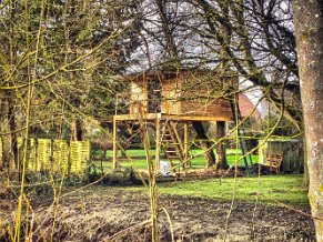 Forest sur Marque