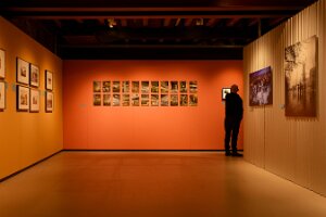 DSC_7372_20260404_140001